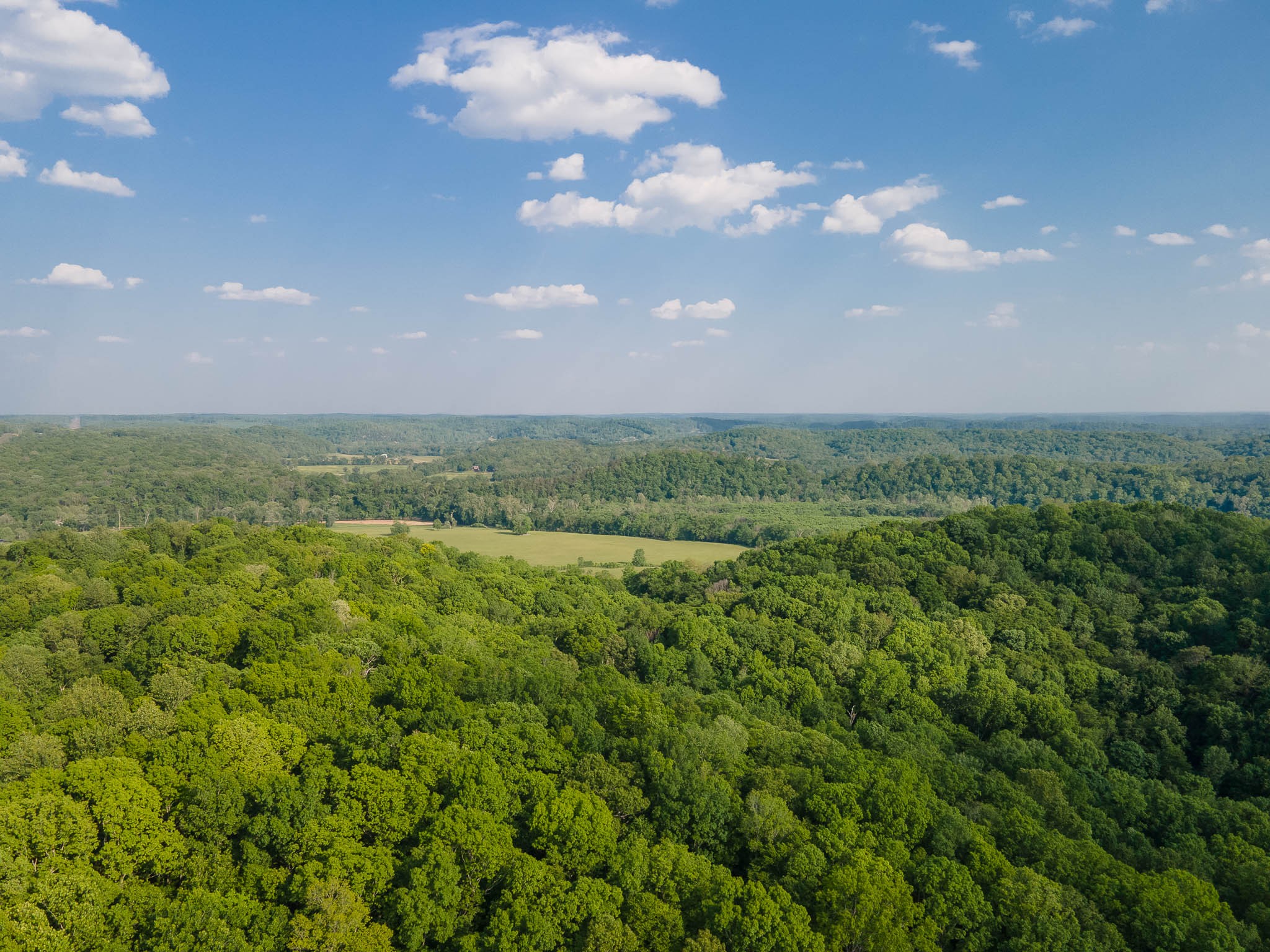 1070 Leatherwood Road White Bluff, TN 37187 - Photo 8 of 22 a view of a big yard with lots of green space and mountain view