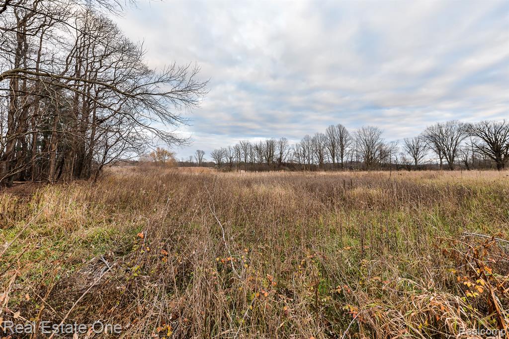 807 South Bull Run Road Fowlerville, MI 48836 - Photo 37 of 60 Gallery Image 37