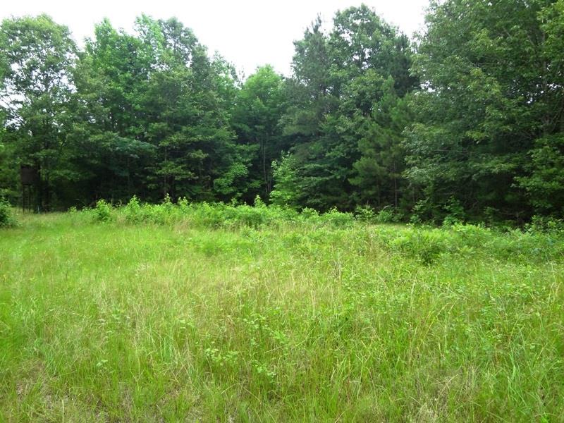 1810 Johnson Chute Road Natchitoches, LA 71457 - Photo 1 of 2 Gallery Image 1