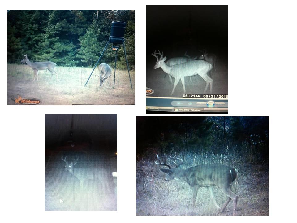 1810 Johnson Chute Road Natchitoches, LA 71457 - Photo 2 of 2 Gallery Image 2