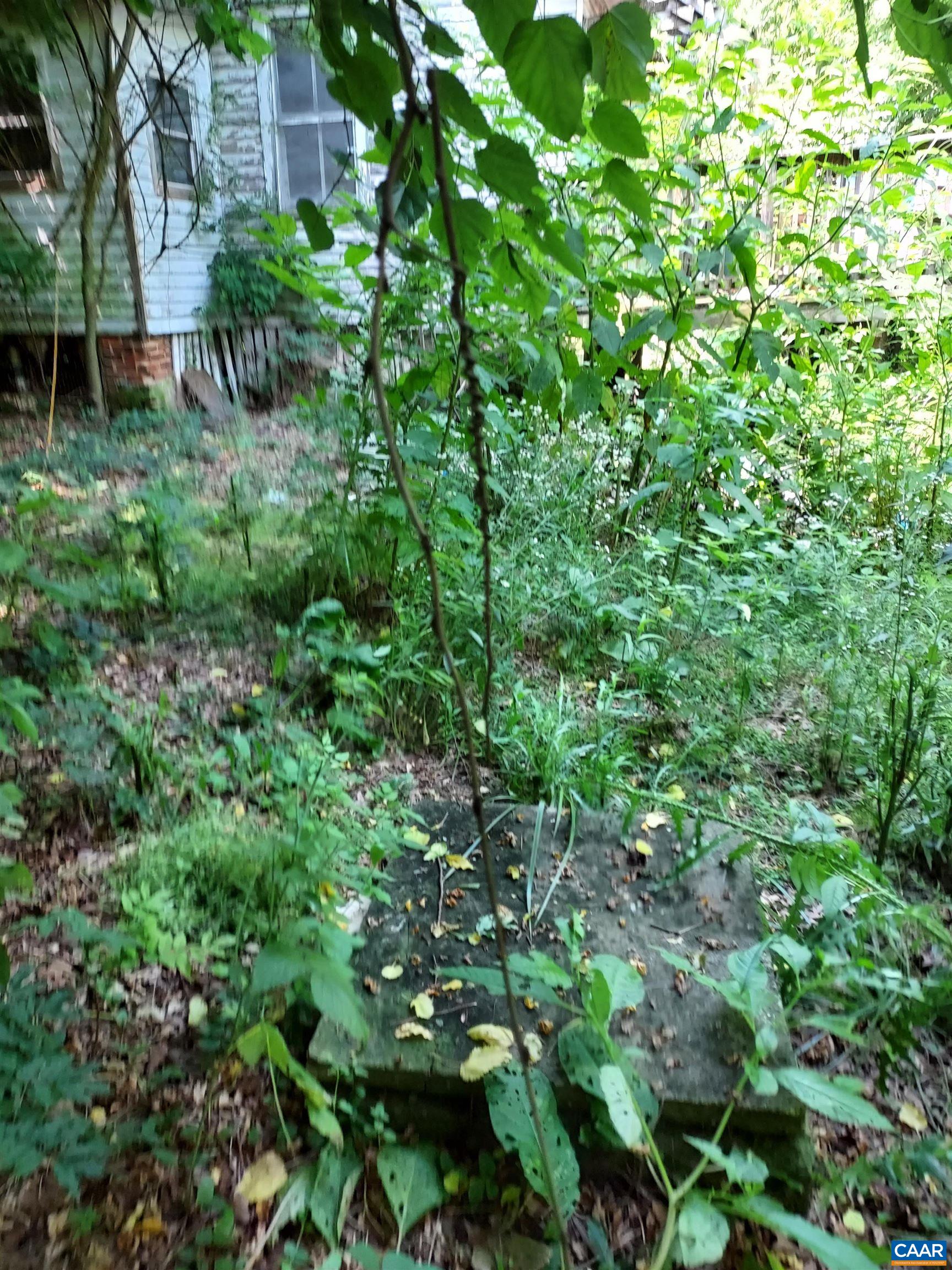 2744 Mansfield Road Louisa, VA 23093 - Photo 11 of 23 a view of a garden
