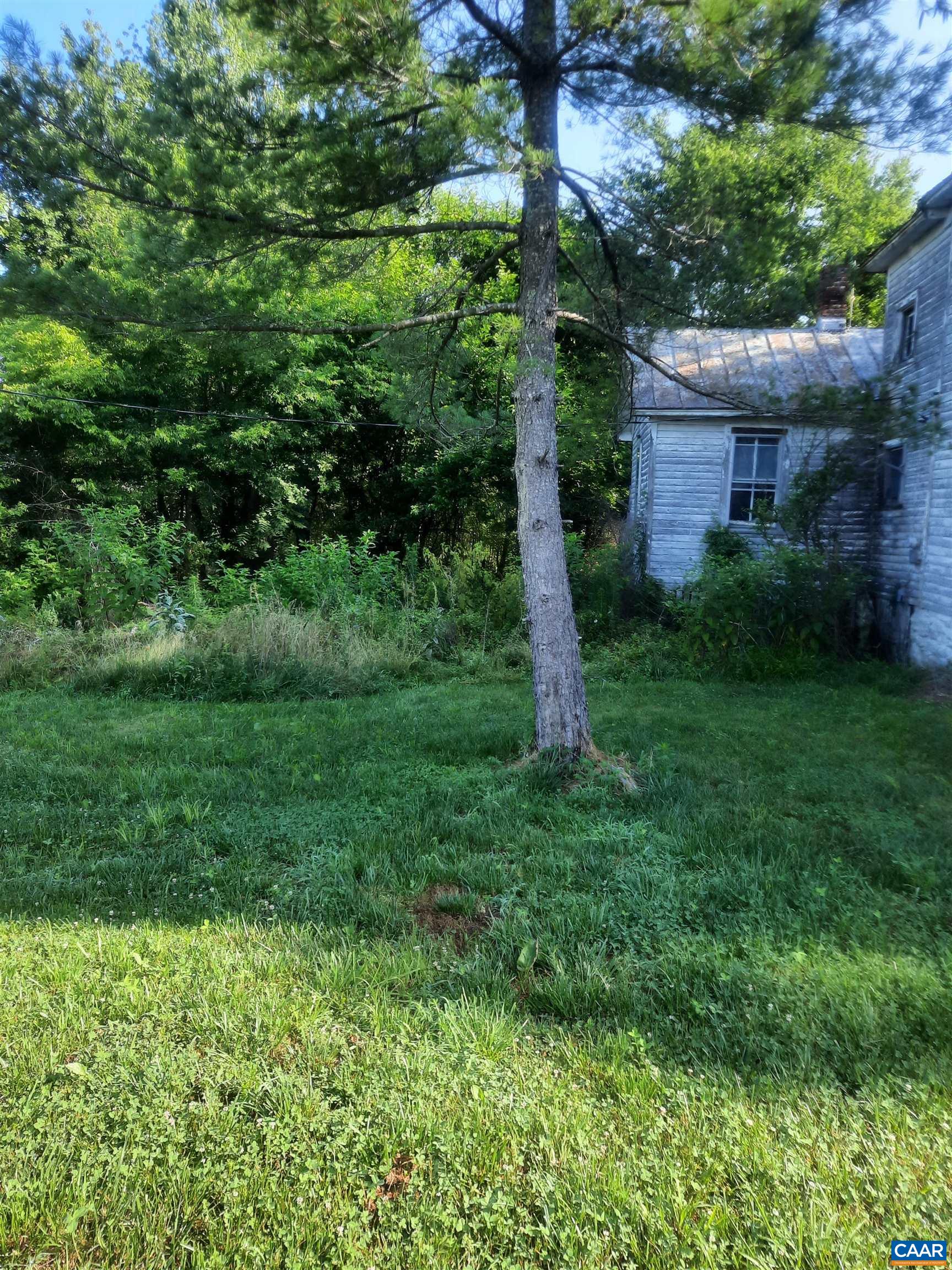2744 Mansfield Road Louisa, VA 23093 - Photo 8 of 23 a view of a house with a tree in a yard