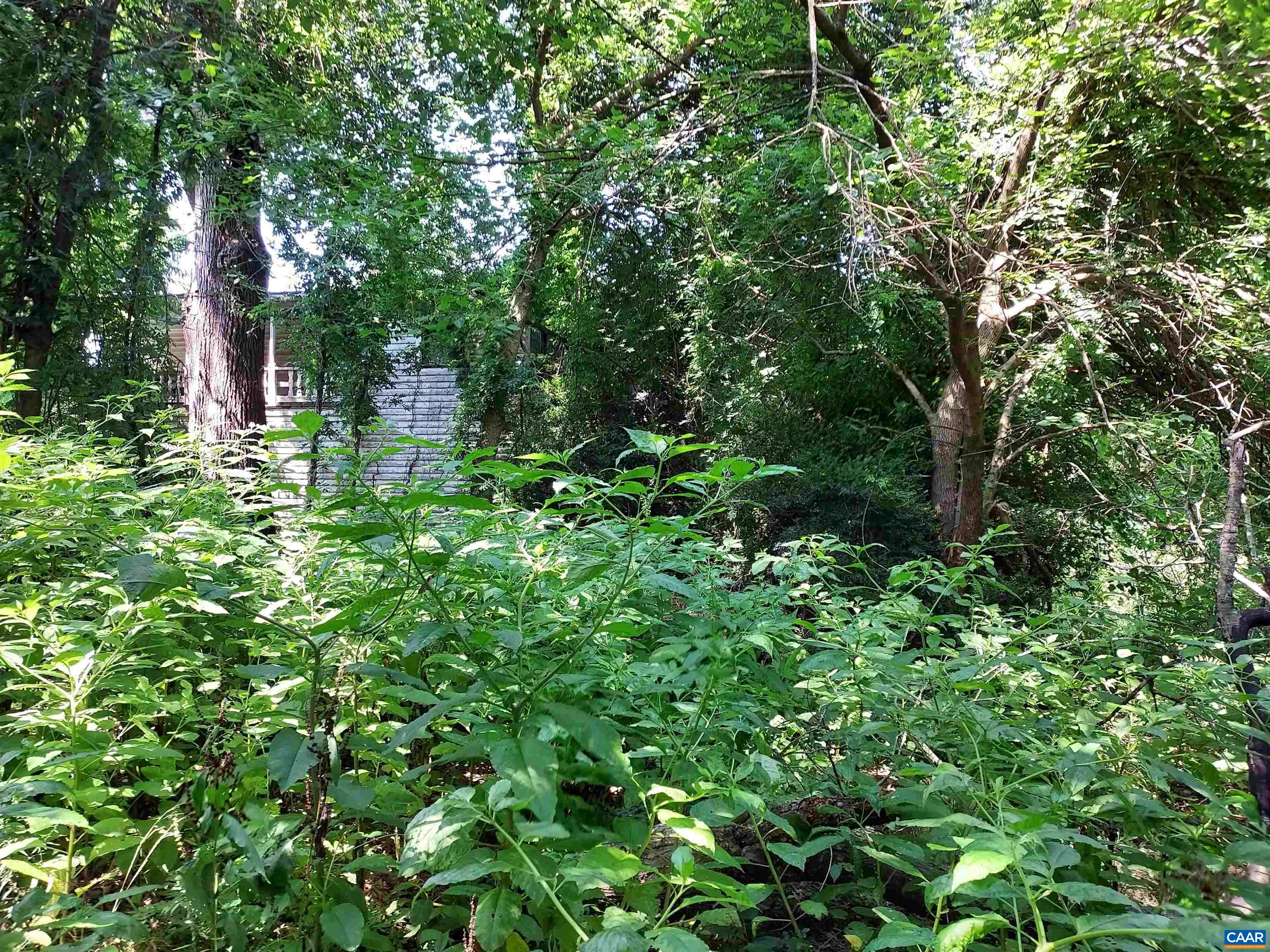 2744 Mansfield Road Louisa, VA 23093 - Photo 10 of 23 a view of a garden