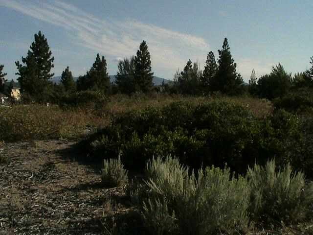 7-2 Unit Weed, CA 96094 - Photo 3 of 5 Gallery Image 3