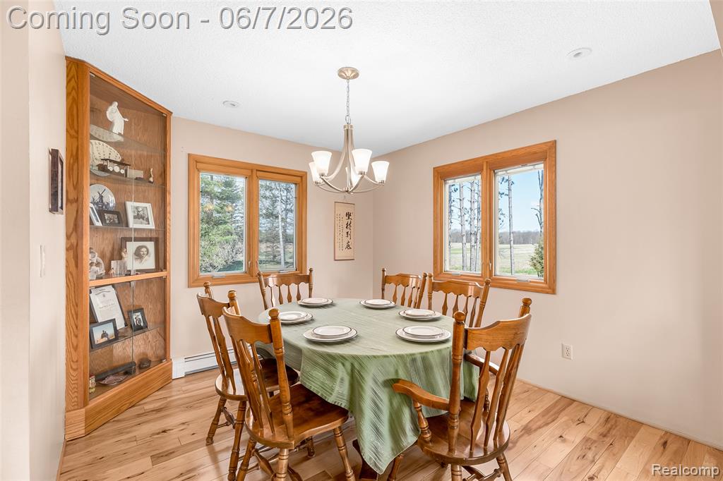 15395 Osius Road Chelsea, MI 48118 - Photo 7 of 55