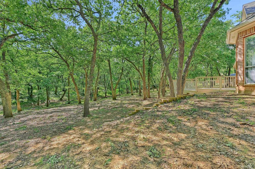 1090 Riley Road Whitesboro, TX 76273 - Photo 33 of 40 Backyard