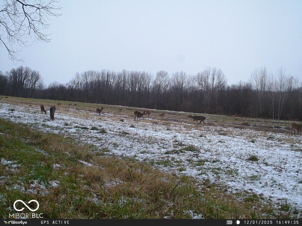 0 East 575th South Markleville, IN 46056 - Photo 26 of 64