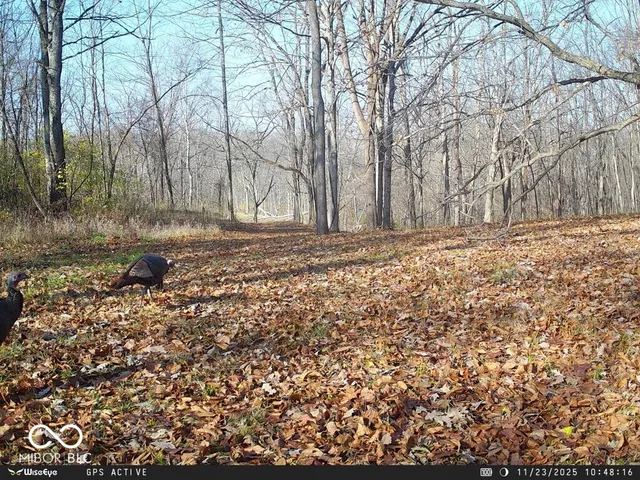 $1,436,155 | 0 East 575th South, Markleville, IN 46056