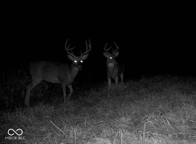 $1,436,155 | 0 East 575th South, Markleville, IN 46056