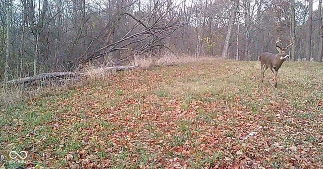 $1,436,155 | 0 East 575th South, Markleville, IN 46056