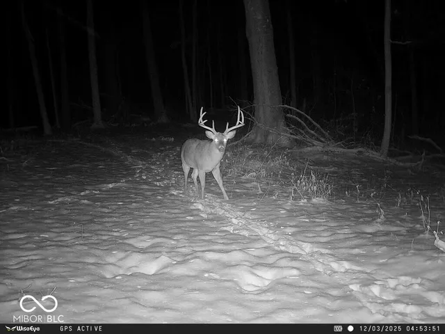 $1,436,155 | 0 East 575th South, Markleville, IN 46056