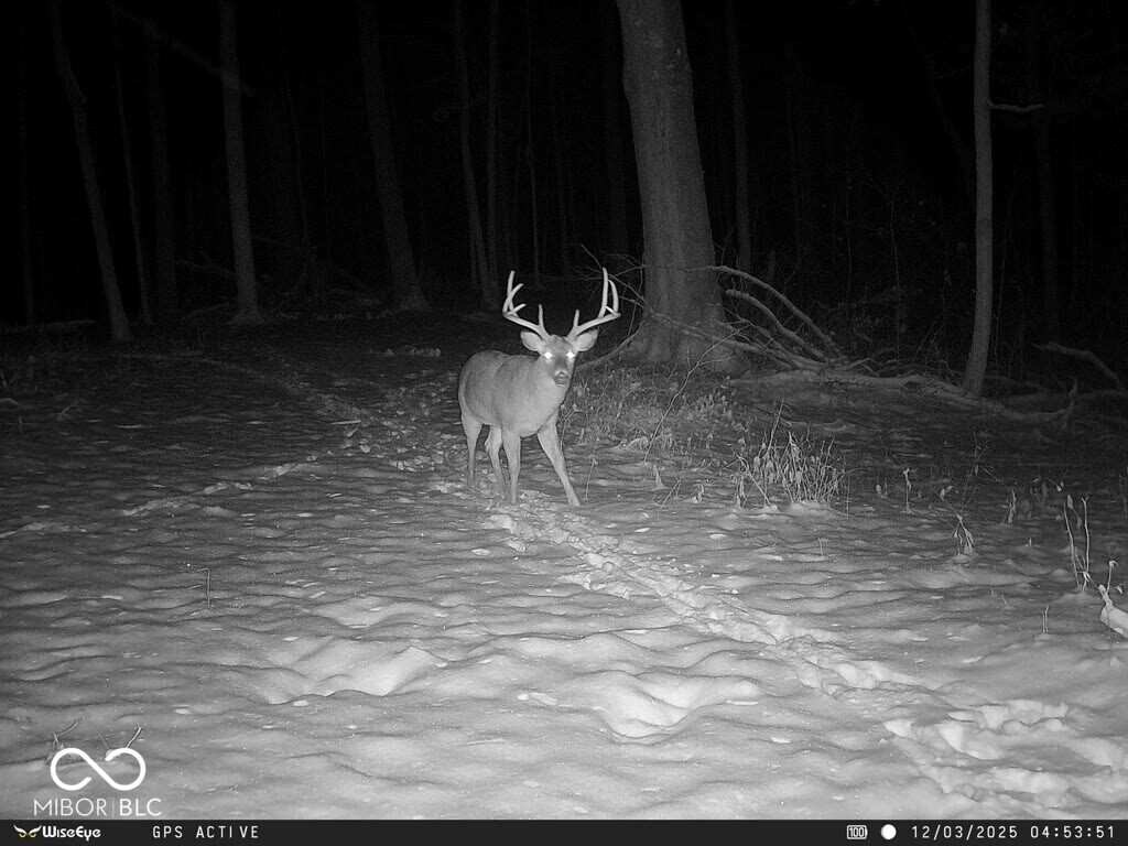 0 East 575th South Markleville, IN 46056 - Photo 61 of 64