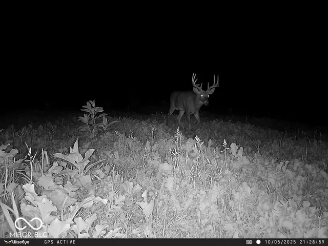 $1,436,155 | 0 East 575th South, Markleville, IN 46056