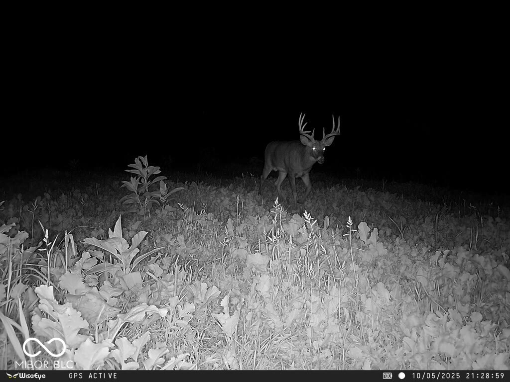 0 East 575th South Markleville, IN 46056 - Photo 62 of 64