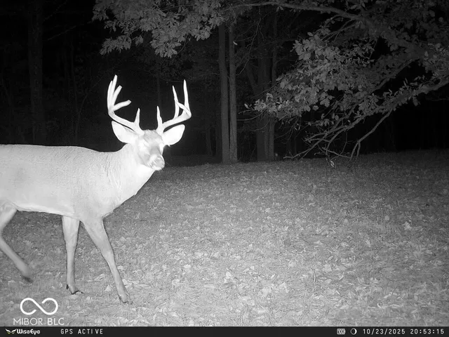 $1,436,155 | 0 East 575th South, Markleville, IN 46056