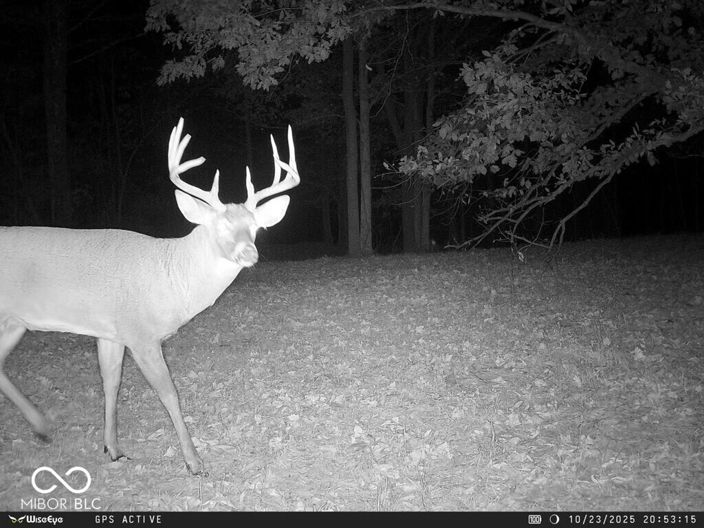 0 East 575th South Markleville, IN 46056 - Photo 63 of 64