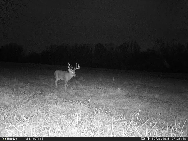 $1,436,155 | 0 East 575th South, Markleville, IN 46056