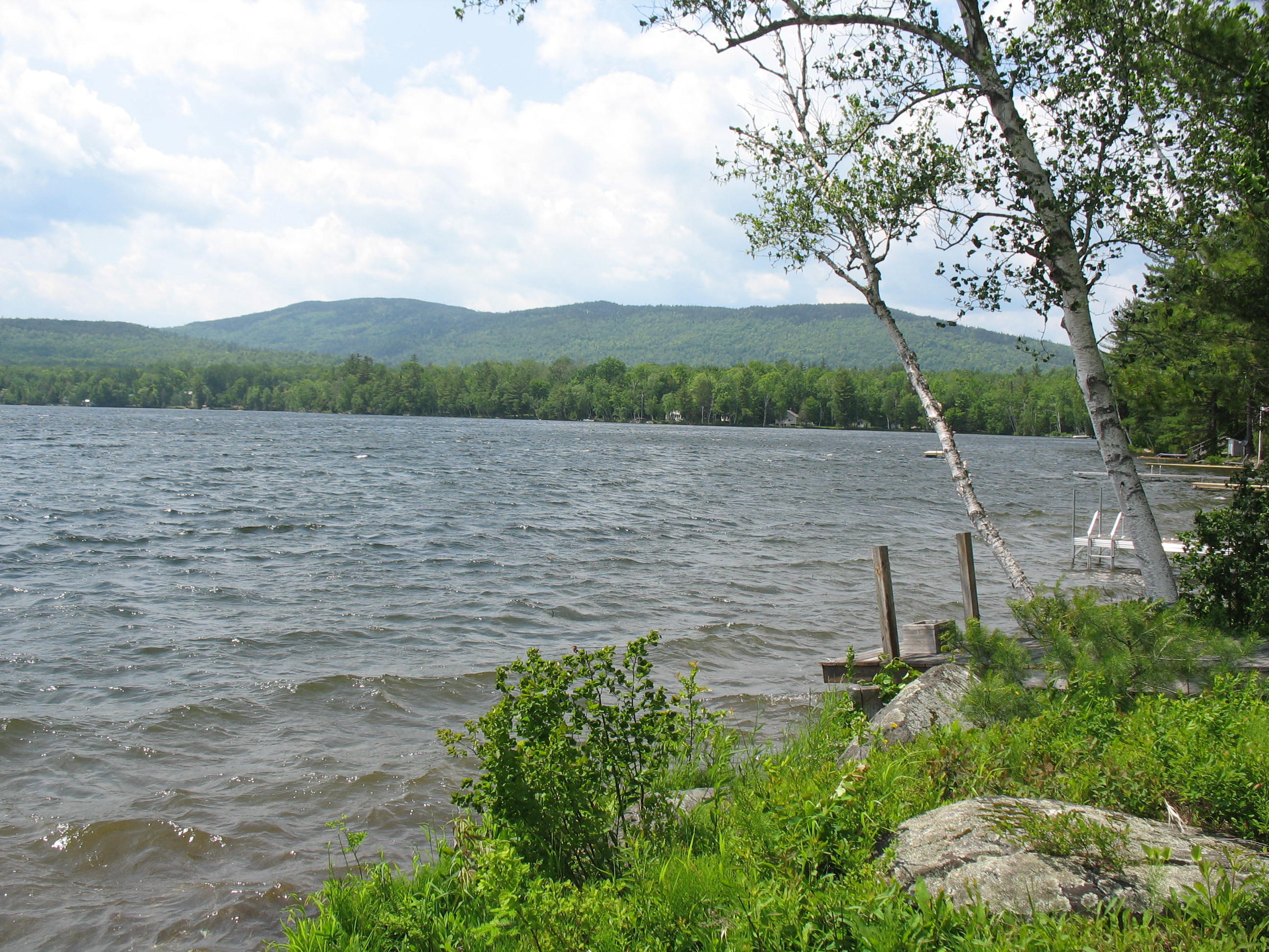 Lot 35 South Shore Road Abbot, ME 04406 - Photo 9 of 22 Whetstone Pond 027