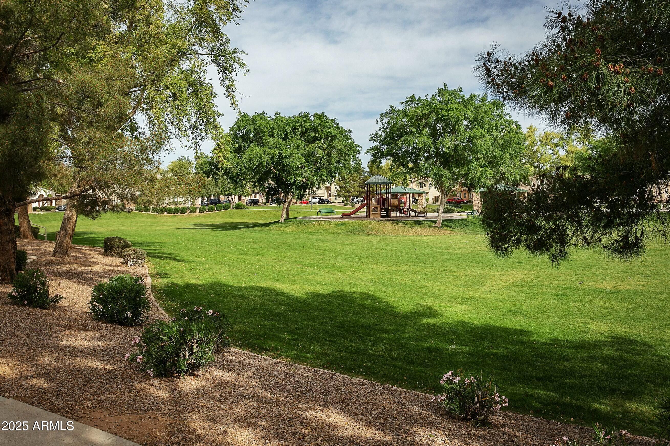 4136 East Tyson Street Gilbert, AZ 85295 - Photo 23 of 24 Community Park
