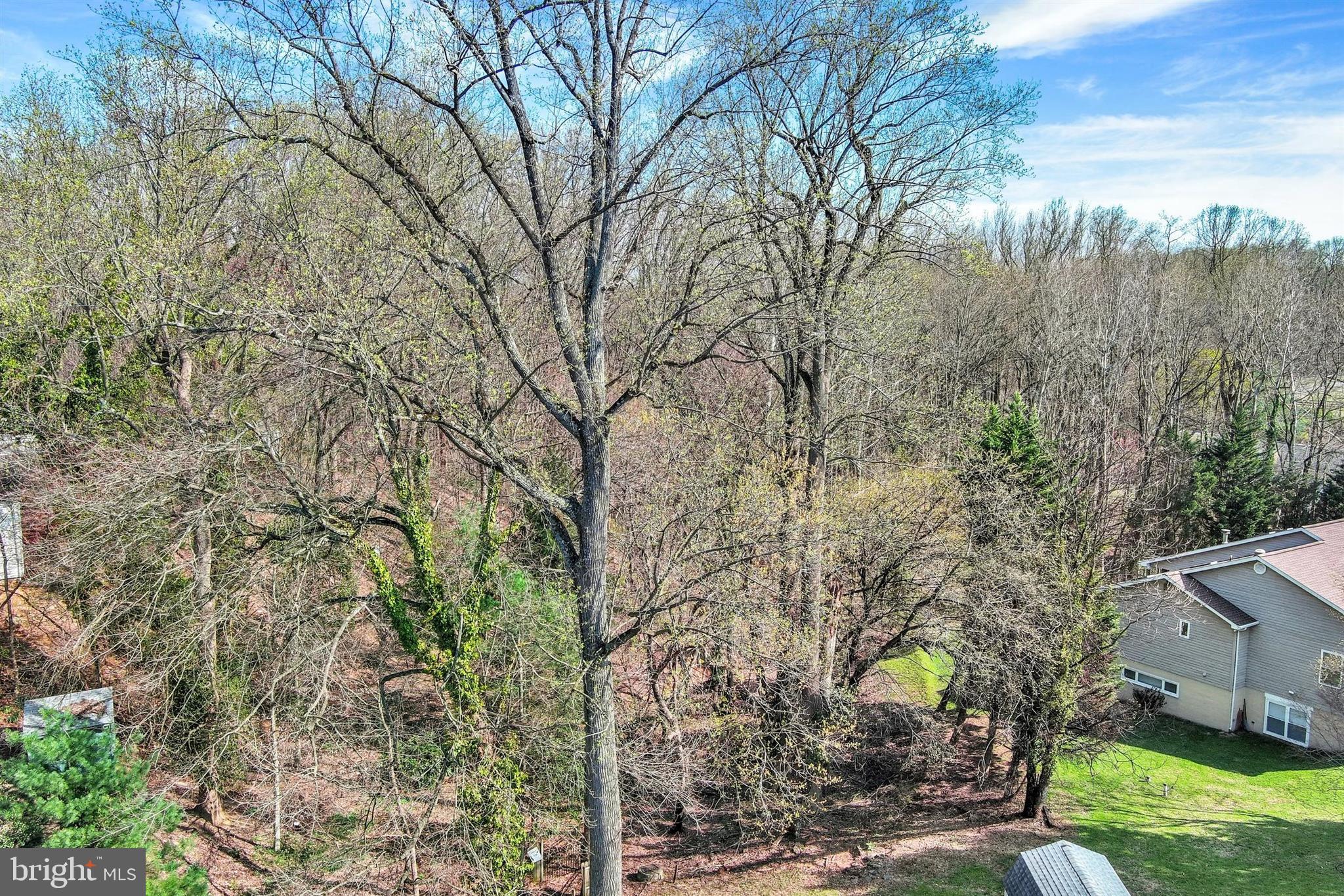 2926 Knoll Acres Drive Baltimore, MD 21234 - Photo 42 of 49 a view of a outdoor space