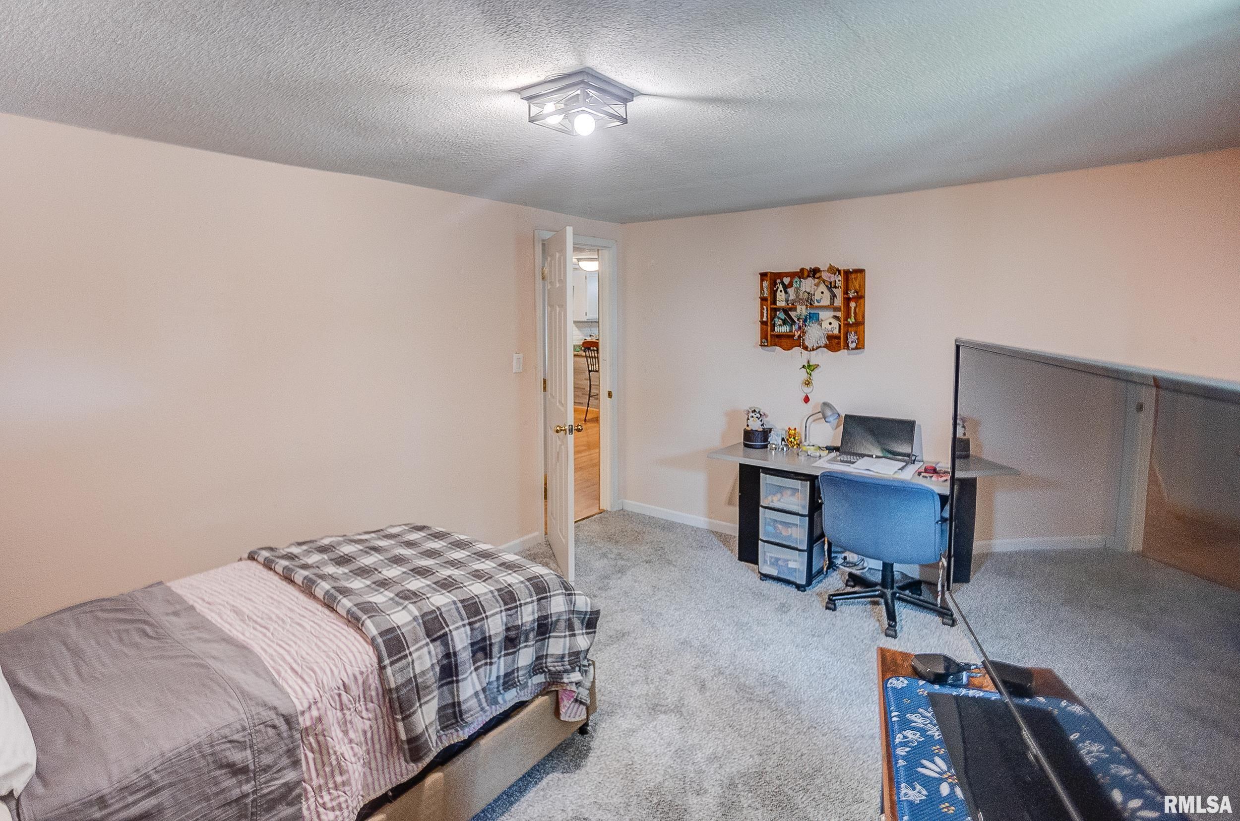 12012 Moffat Road Sparta, IL 62286 - Photo 20 of 43