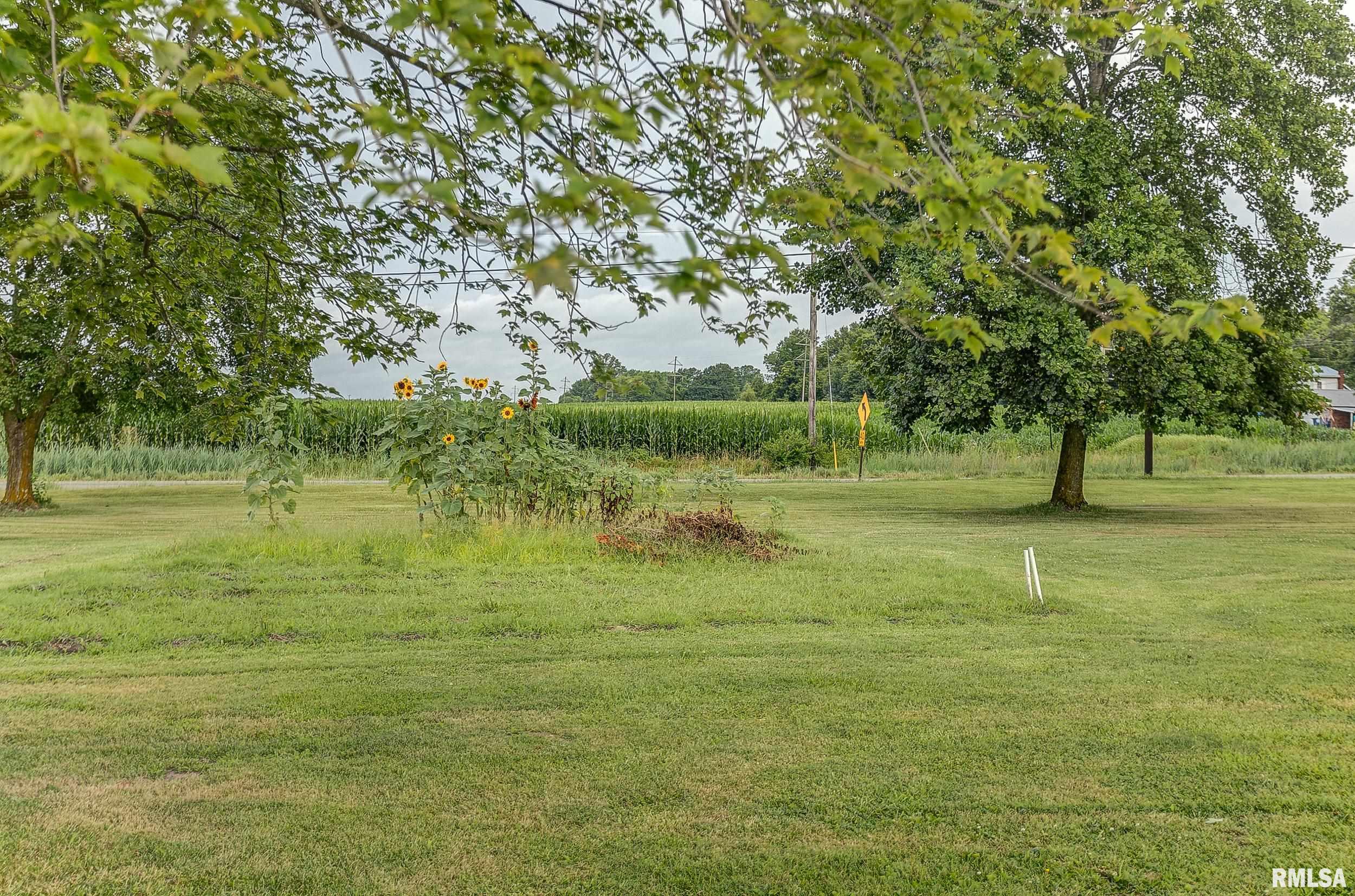 12012 Moffat Road Sparta, IL 62286 - Photo 35 of 43