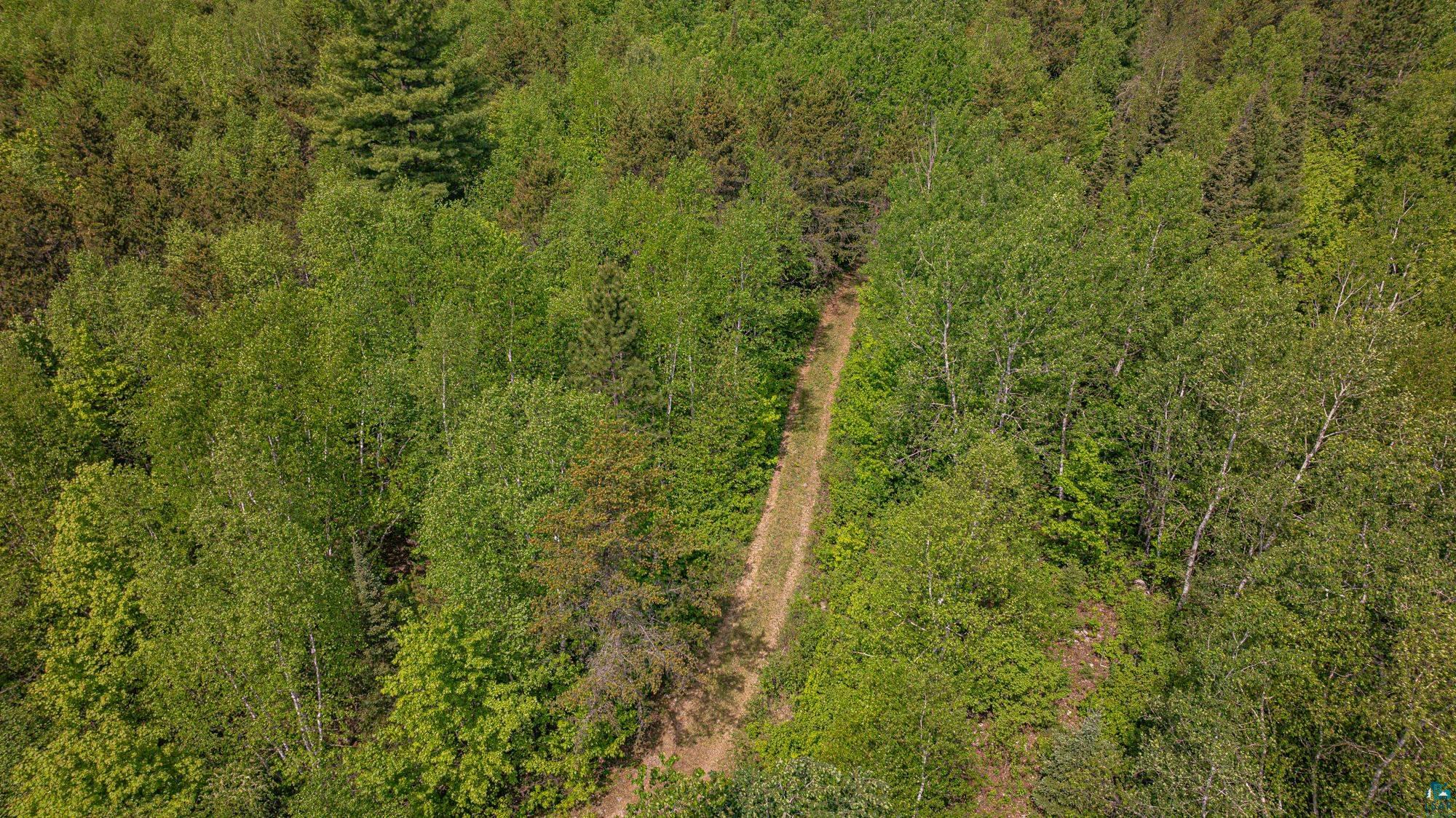 Tbd Tbd Muckwa Lake Road Babbitt, MN 55706 - Photo 45 of 54