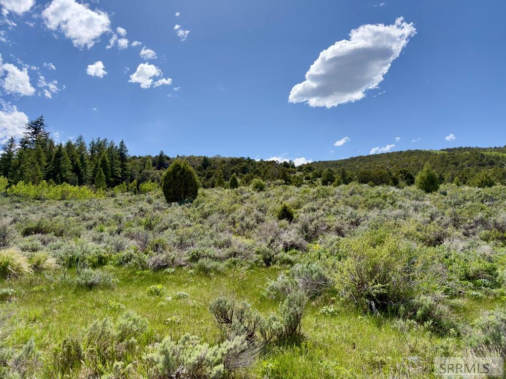 Tbd Fish Creek Road Lava Hot Springs, ID 83246 - Photo 28 of 44