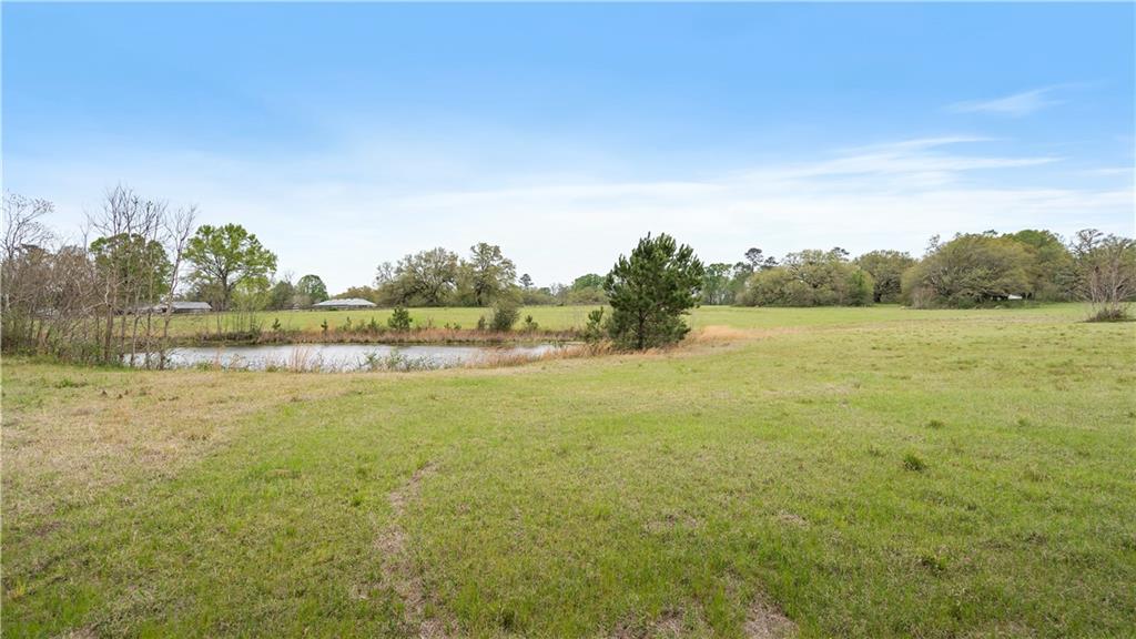 0 South Mansfield Road Folsom, LA 70437 - Photo 1 of 2 Gallery Image 1