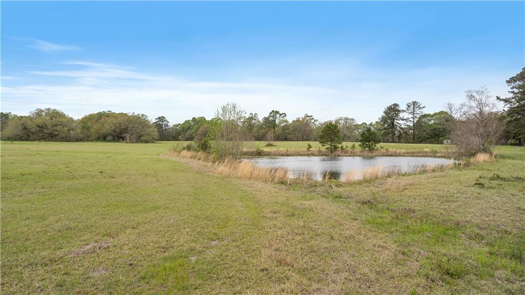 0 South Mansfield Road Folsom, LA 70437 - Photo 2 of 2 Gallery Image 2