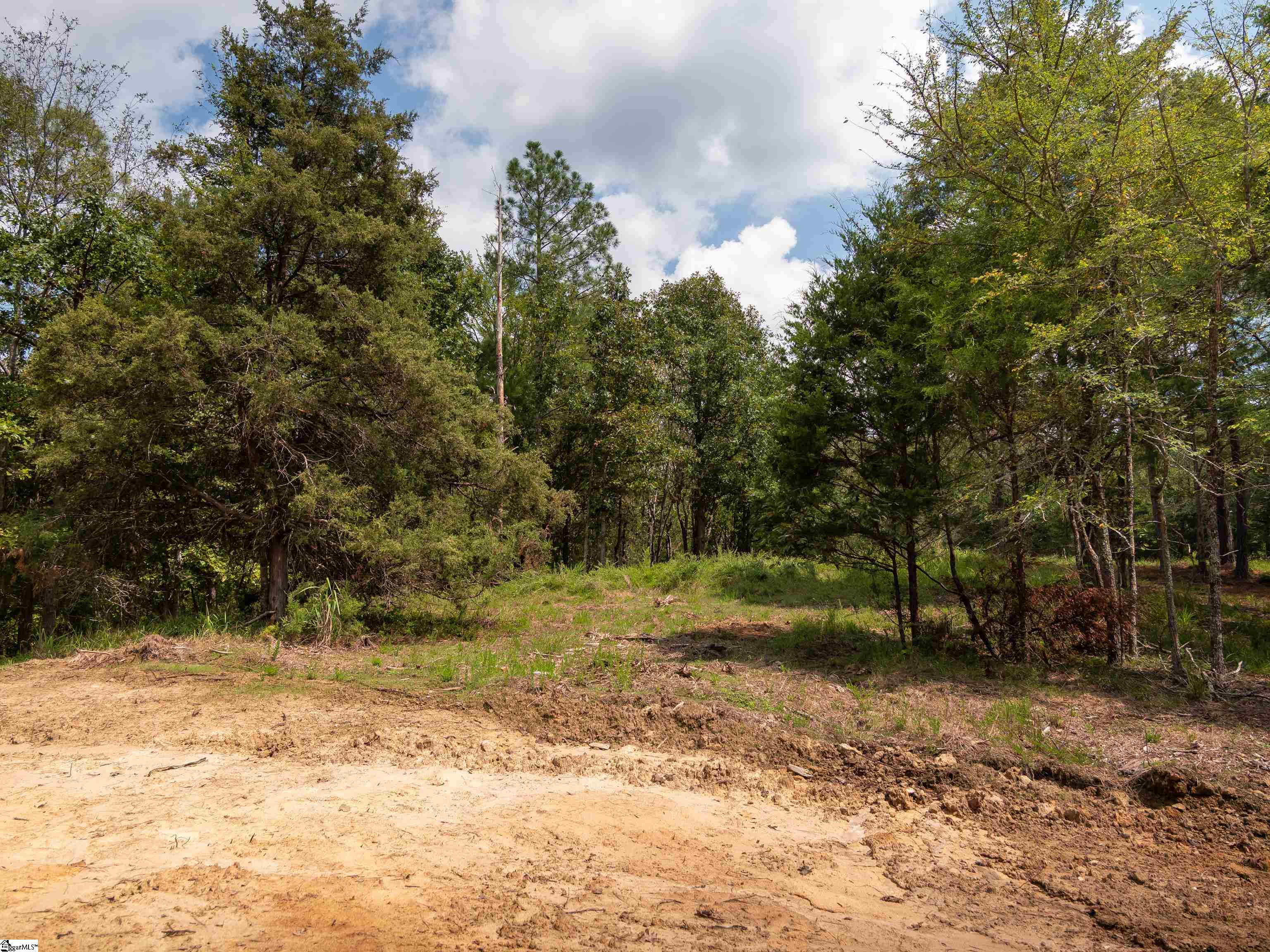 9 Neal Shoals Road Union, SC 29379 - Photo 12 of 49 Gallery Image 12