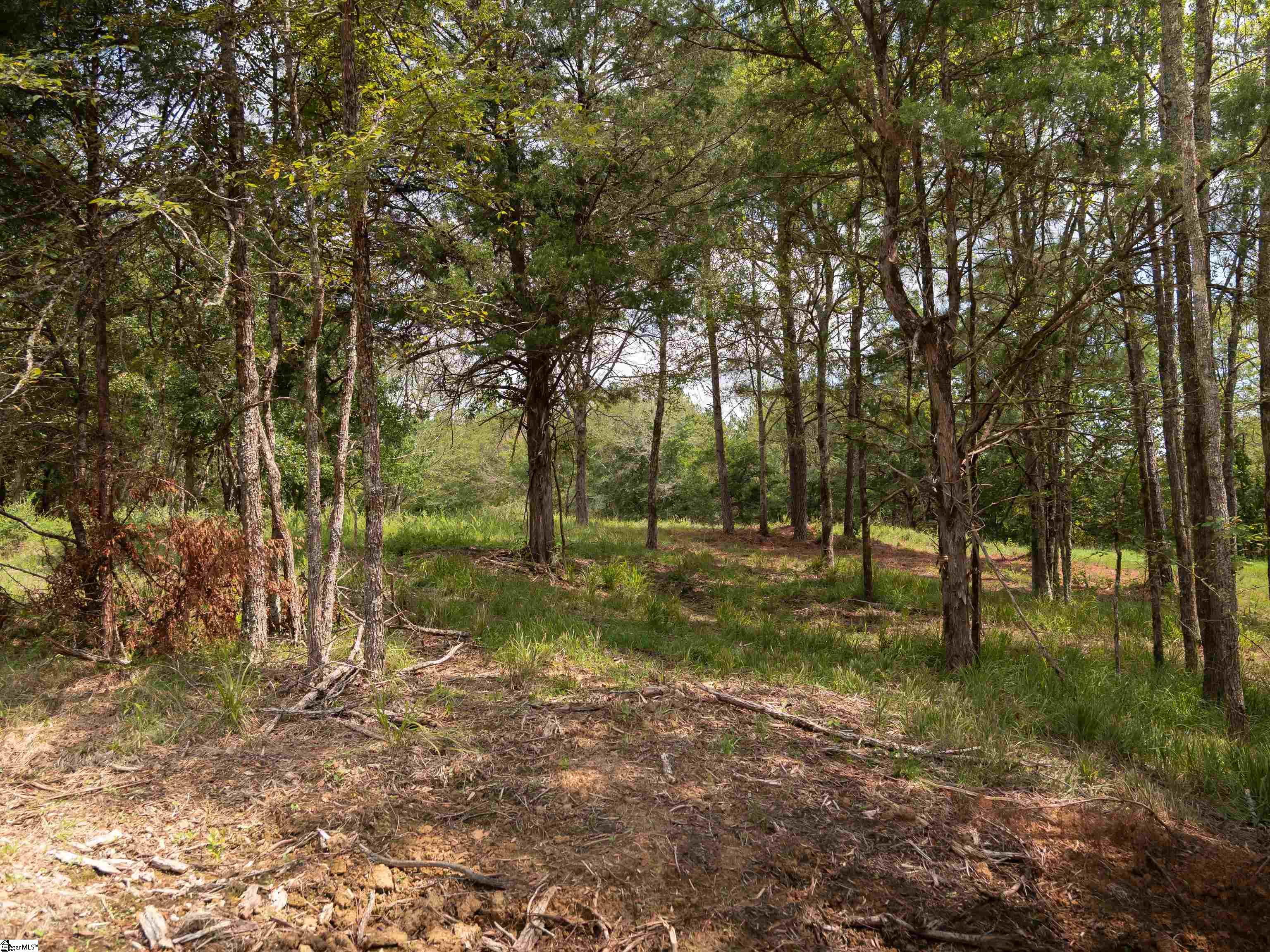 9 Neal Shoals Road Union, SC 29379 - Photo 15 of 49 Gallery Image 15