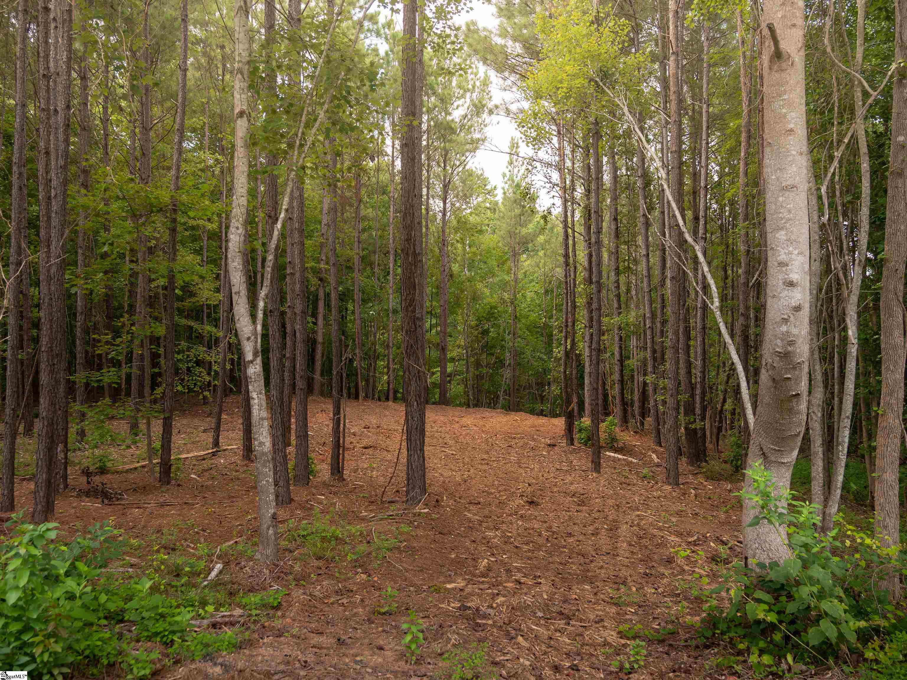 9 Neal Shoals Road Union, SC 29379 - Photo 16 of 49 Gallery Image 16