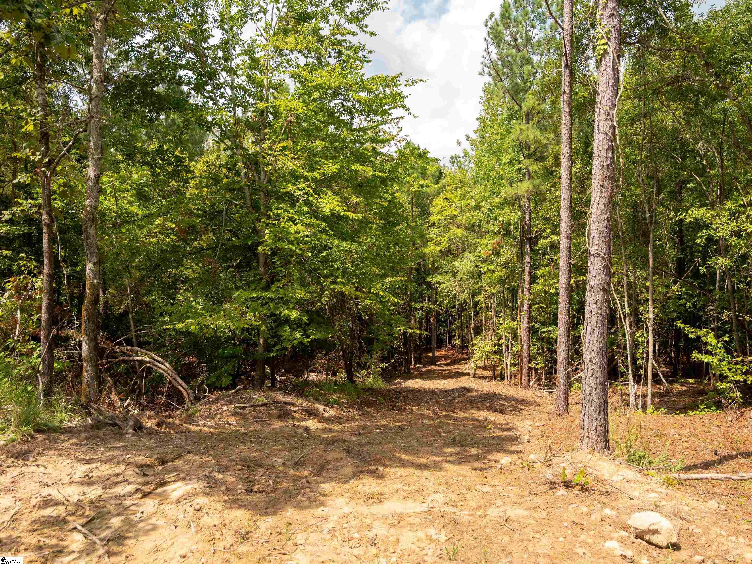9 Neal Shoals Road Union, SC 29379 - Photo 42 of 49 Gallery Image 42