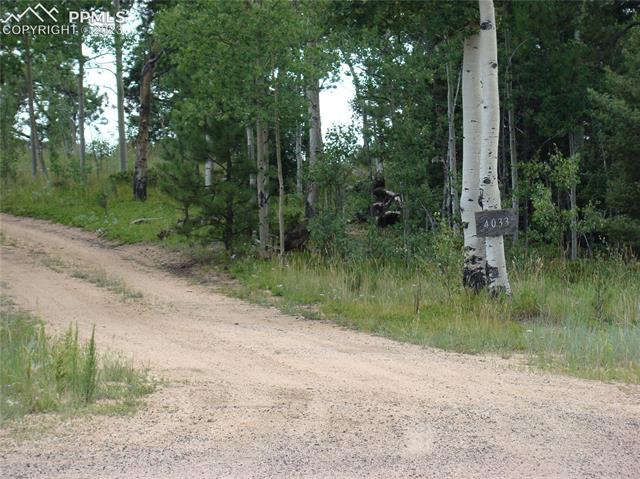 4033 Cedar Mountain Road Divide, CO 80814 - Photo 27 of 31 Gallery Image 27