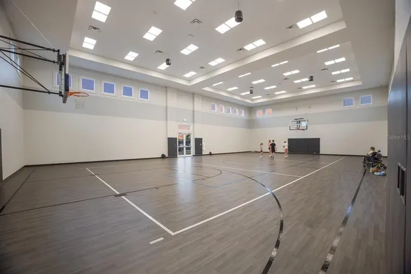 a living room with furniture potted plant and a window