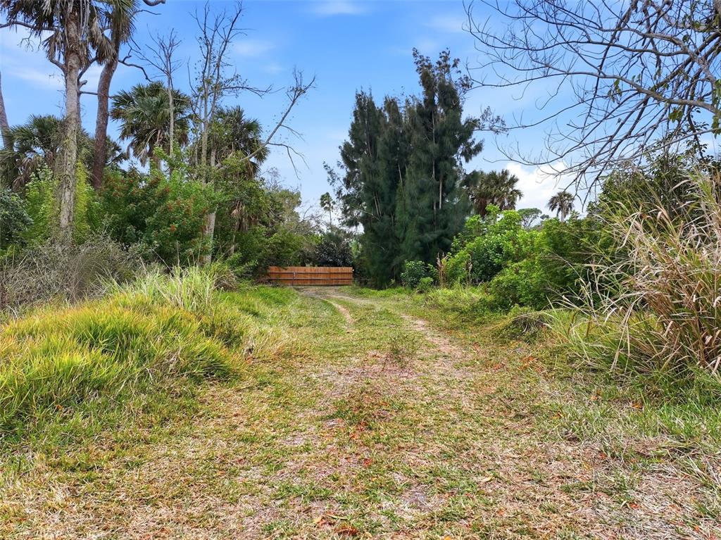0 Dunbar Road Venice, FL 34293 - Photo 4 of 7 a view of backyard with green space