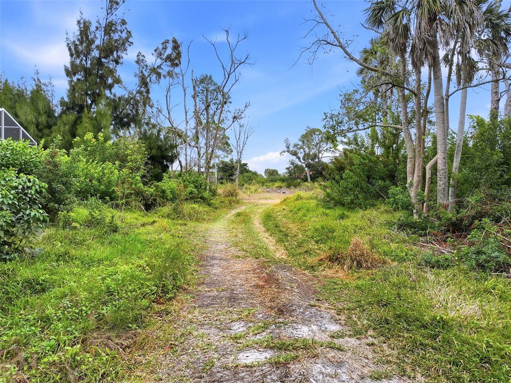 0 Dunbar Road Venice, FL 34293 - Photo 5 of 7 a view of a yard with plants and large trees