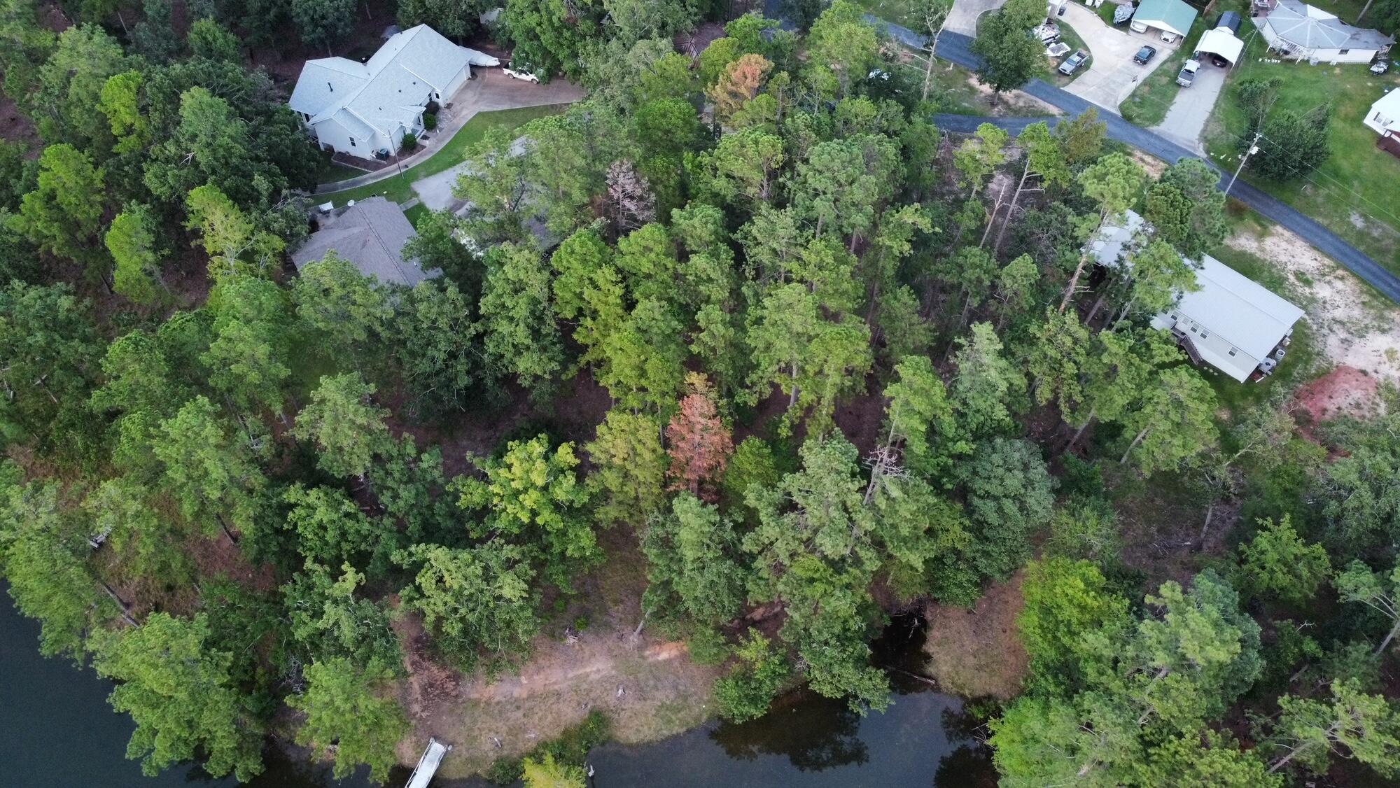 1131 Whitstone Road Lincolnton, GA 30817 - Photo 6 of 14 1