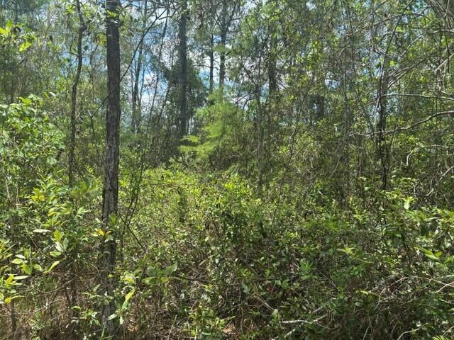 0 Water Road Clermont, FL 34714 - Photo 2 of 3 2