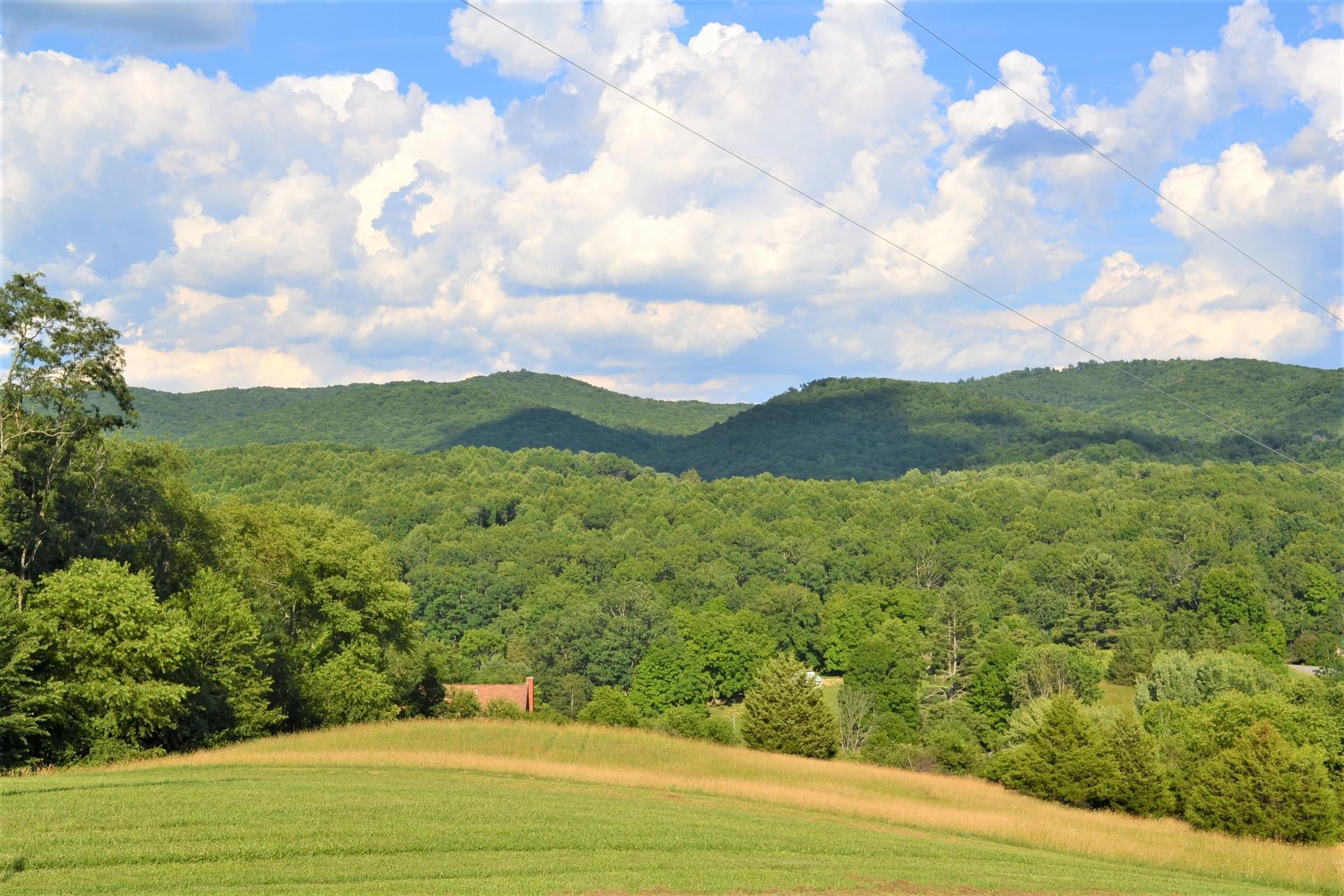 372 Charles Masters Road Ronceverte, WV 24970 - Photo 19 of 50 Gallery Image 19