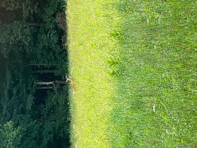 0 Remer Road East China, MI 48054 - Photo 12 of 12 Gallery Image 12