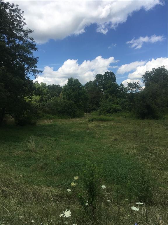 0 Kings Road Washington, PA 15301 - Photo 2 of 8 Bordered by trees on one side and a stream on the other