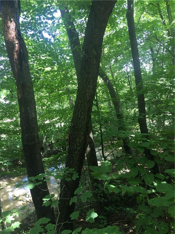 0 Kings Road Washington, PA 15301 - Photo 7 of 8 Large stream which borders property all along one side