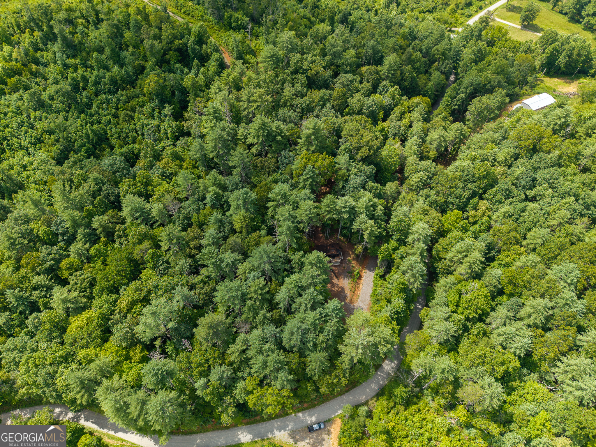 0 Higdon Creek Road Blue Ridge, GA 30513 - Photo 45 of 48 Gallery Image 45