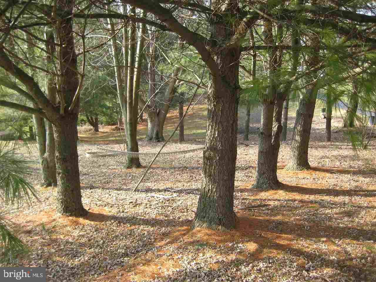 478 Fuhrman Mill Road Hanover, PA 17331 - Photo 20 of 23