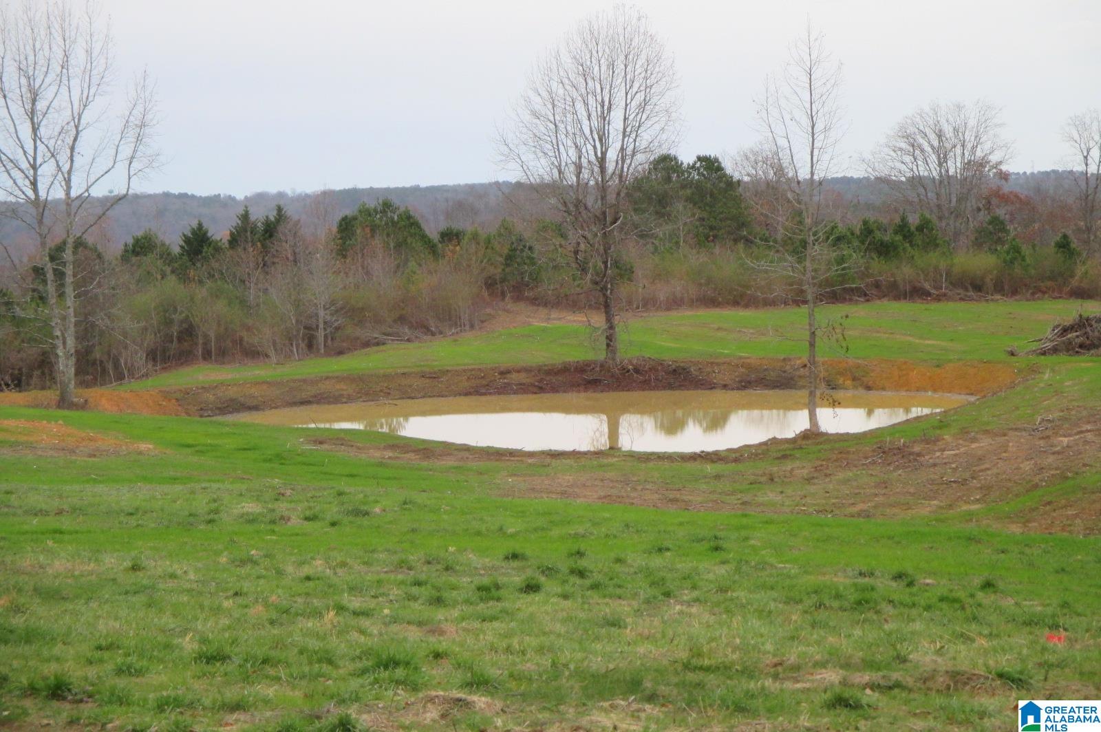 10362 Co Highway 24 Oneonta, AL 35121 - Photo 1 of 17