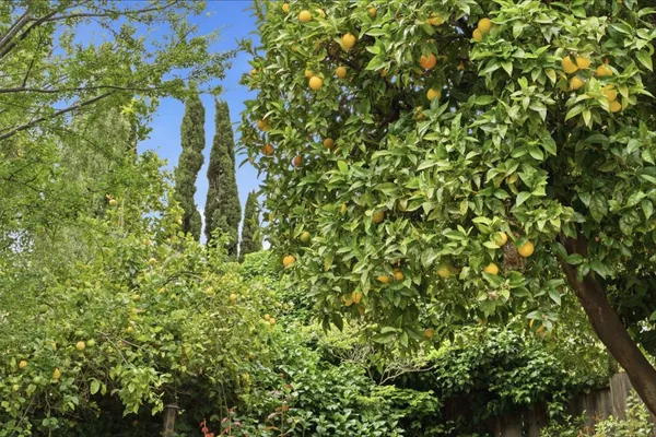 $1,298,000 | 19113 San Miguel Avenue, Castro Valley, CA 94546