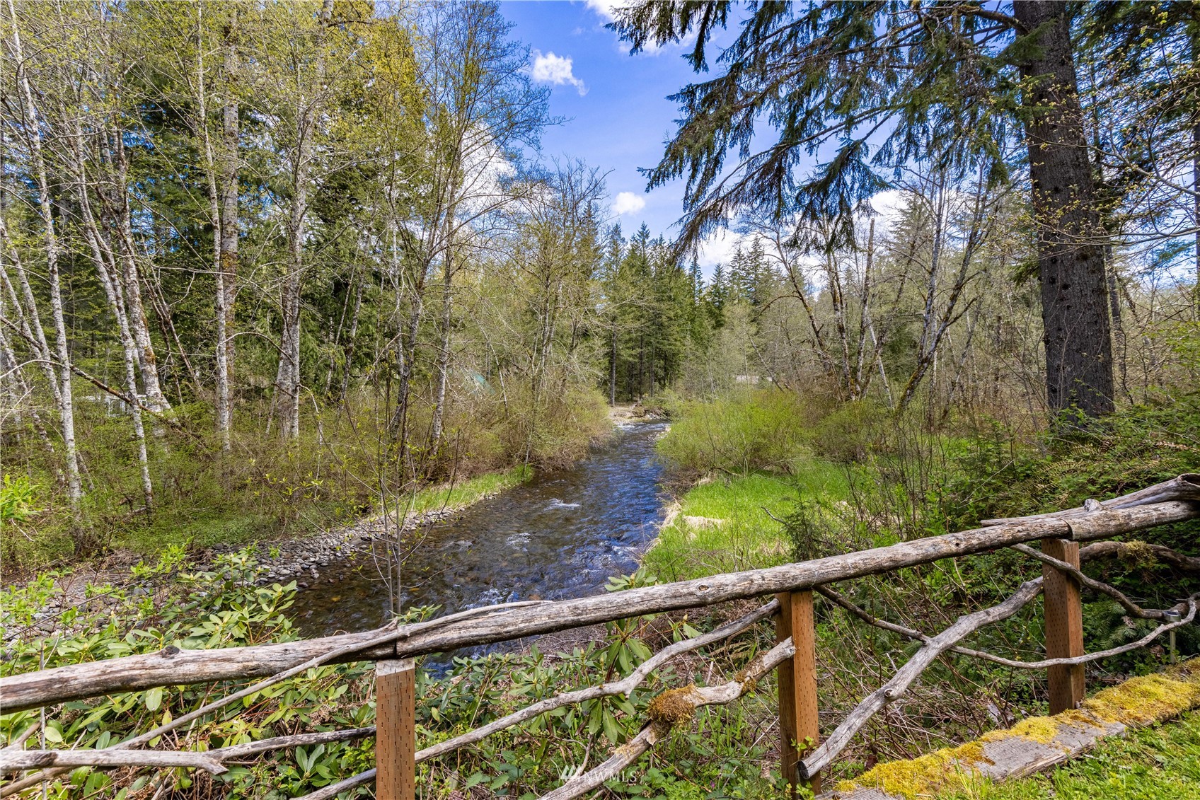 286 Osborn Road Ashford, WA 98304 - Photo 2 of 25 Gallery Image 2