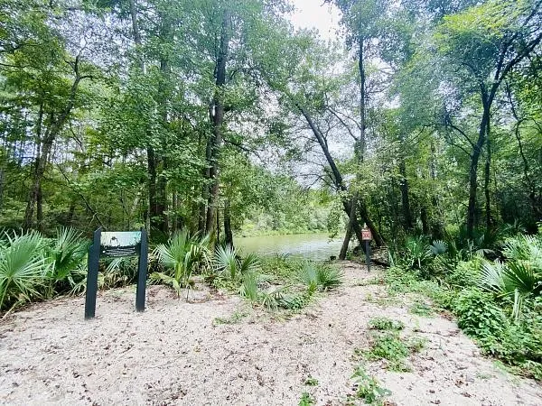 a view of a swimming pool with a patio and fire pit